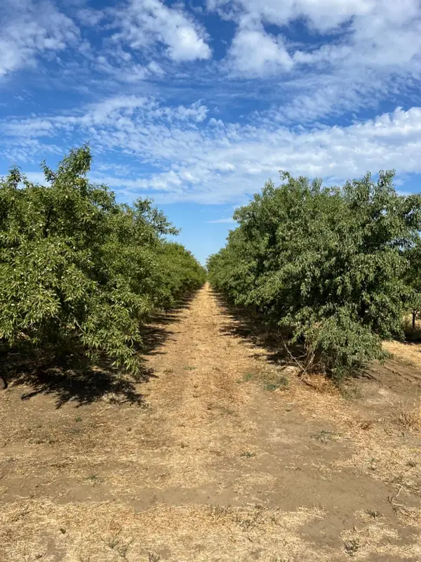 4261 Clausen Road, Le Grand, CA 95333