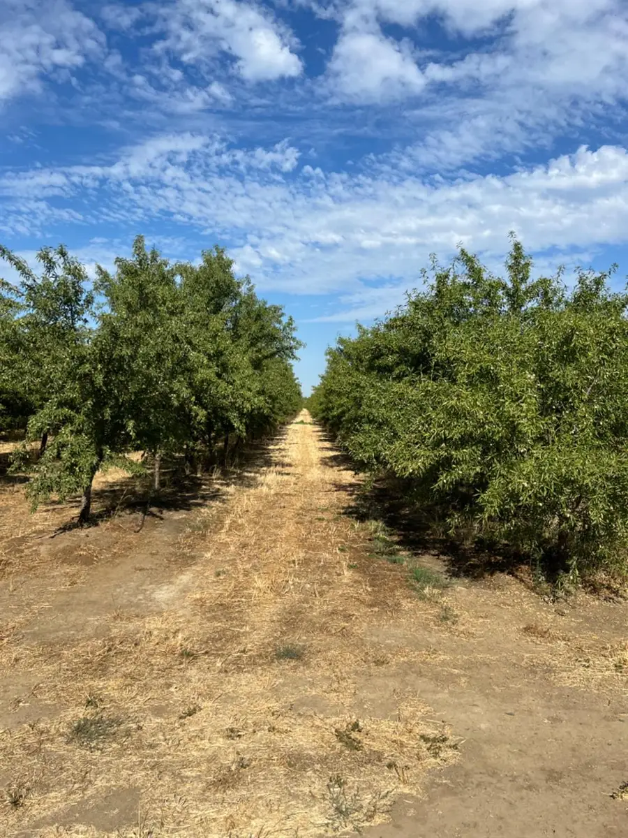 4261 Clausen Road, Le Grand, CA 95333 - Image #2