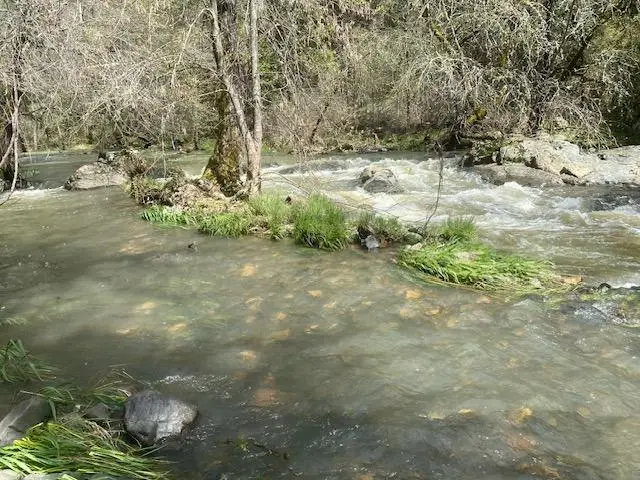 17214 Scopar Road, Grass Valley, CA 95949 - Image #1