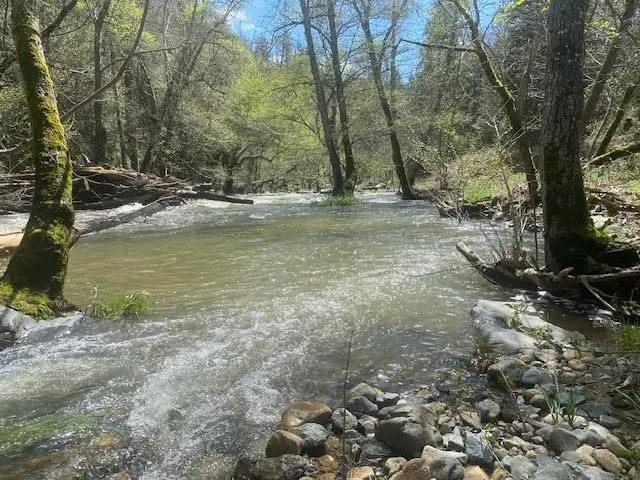 17214 Scopar Road, Grass Valley, CA 95949 - Image #3