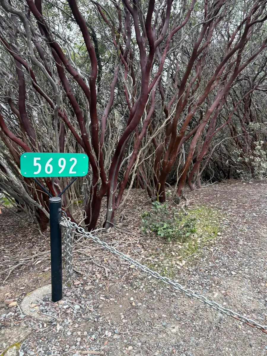 0 Jackass Ridge Rd, Coulterville, CA 95311 - Image #3