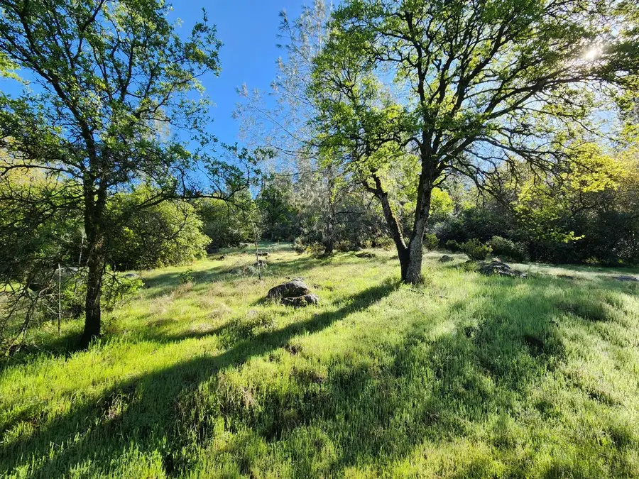 19994 John Born Road, Penn Valley, CA 95946 - Image #3