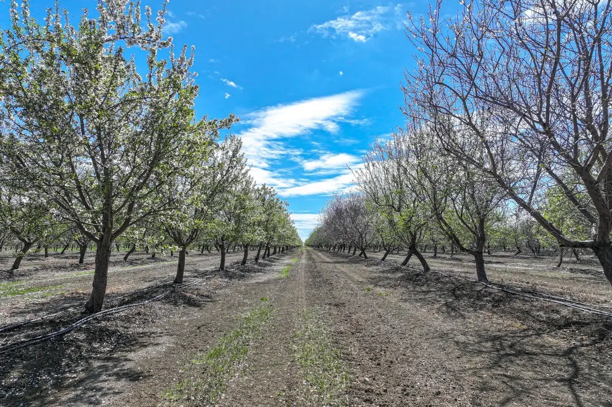 12481 S Calaveras Avenue, Cantua Creek, CA 93608 - Image #1