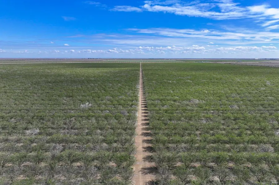 0 W Cerini Avenue, Cantua Creek, CA 93608 - Image #2