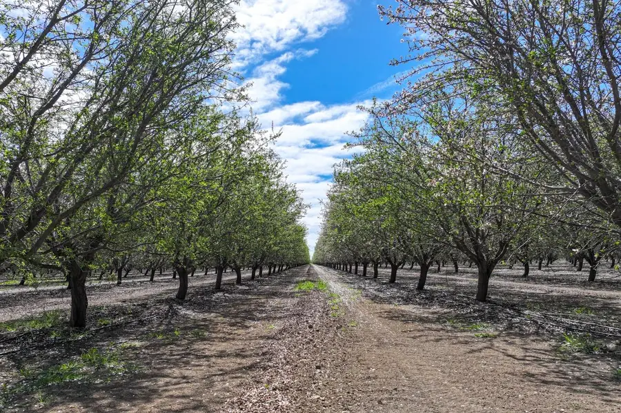 0 W Cerini Avenue, Cantua Creek, CA 93608 - Image #3