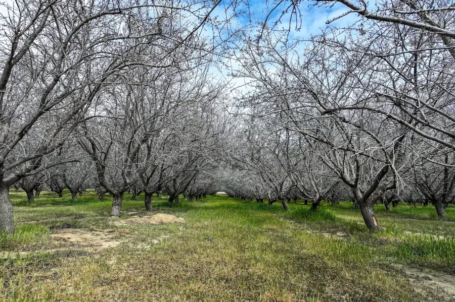 0 I-5, Cantua Creek, CA 93608 - Image #2