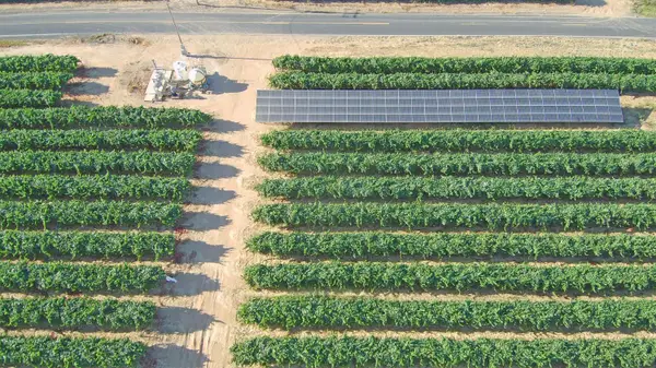 14594 Prouty Road, Galt, CA 95632