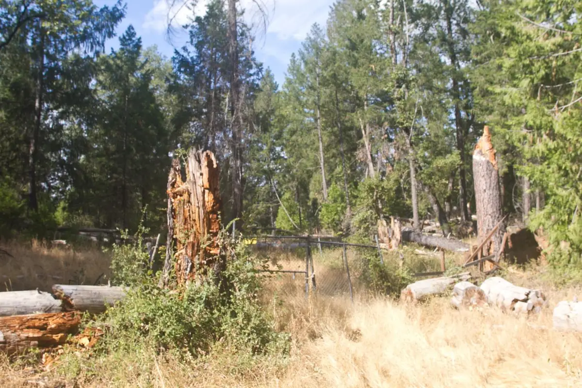 4801 Coyoteville, Fiddletown, CA 95629 - Image #1