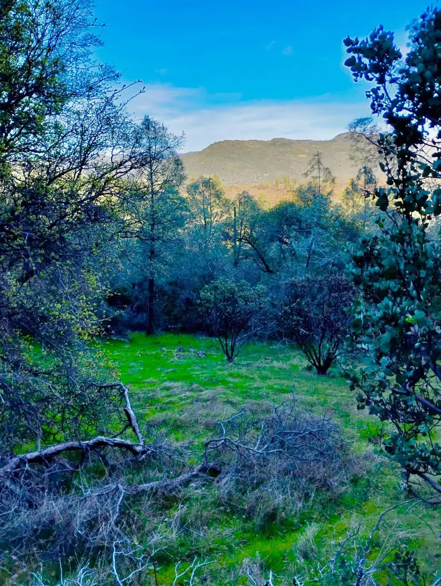 18175 Piper Lane, Penn Valley, CA 95946 - Image #3