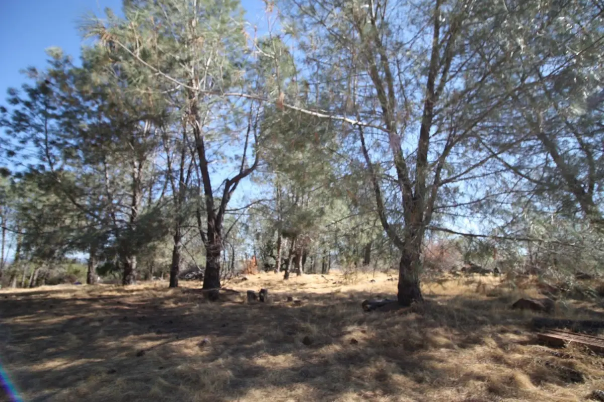 12068 Shepard Road, Smartsville, CA 95977 - Image #1