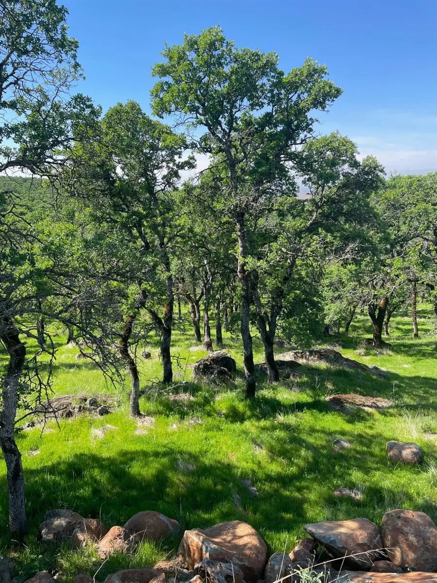 0 Oak Grove Court, Browns Valley, CA 95918 - Image #2