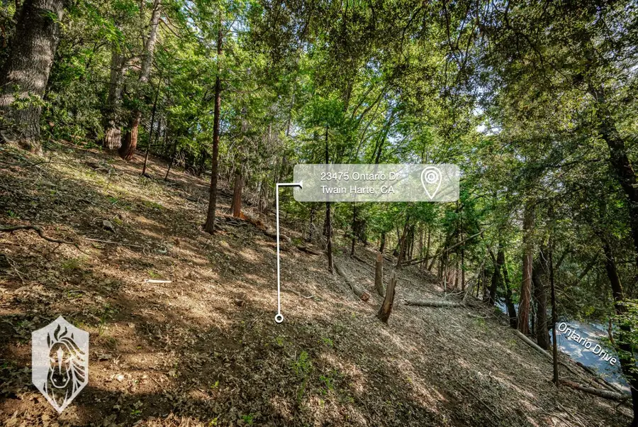 23475 Ontario Drive, Twain Harte, CA 95383 - Image #2