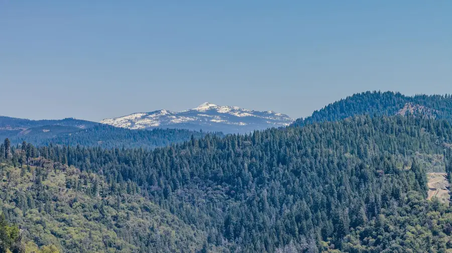 16724 Alpine Drive, Pioneer, CA 95666 - #3