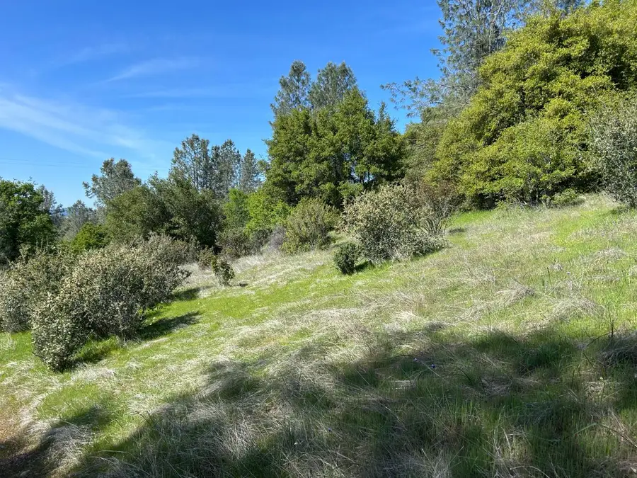 23059 Big Oak Drive, Smartsville, CA 95977 - Image #2