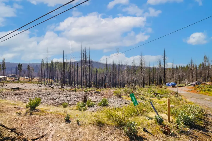 10020 Grizzly Flat Road, Grizzly Flats, CA 95636 - Image #3