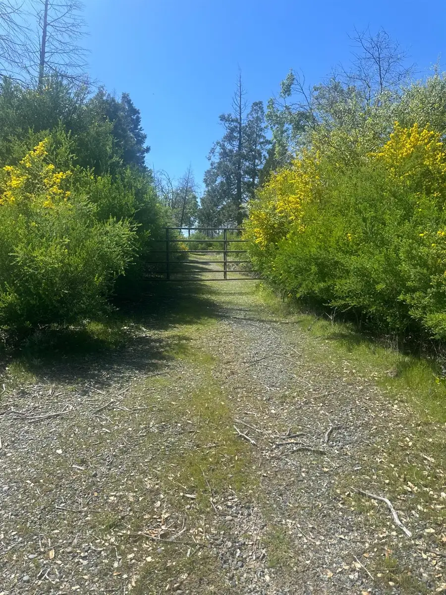 337 Rocky Point, Oroville, CA 95966 - Image #2