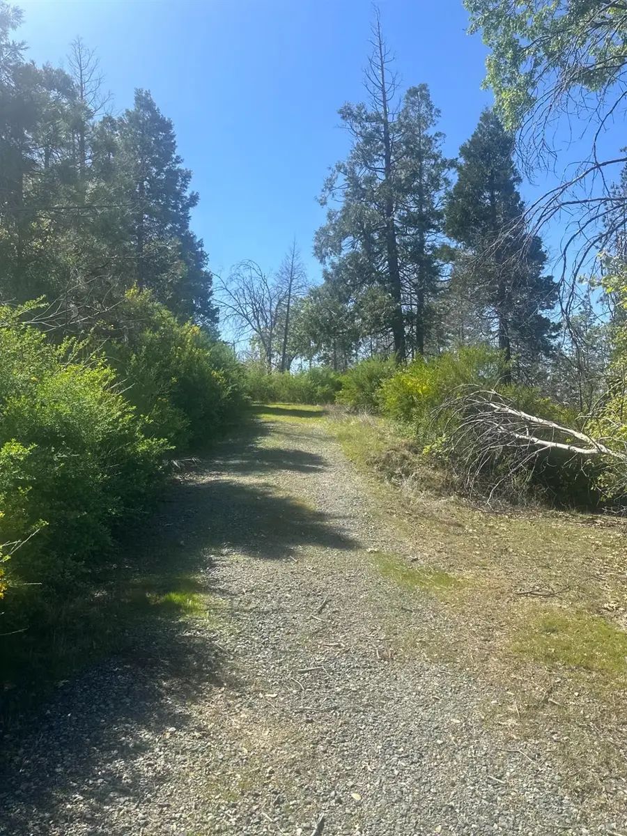 337 Rocky Point, Oroville, CA 95966 - Image #3