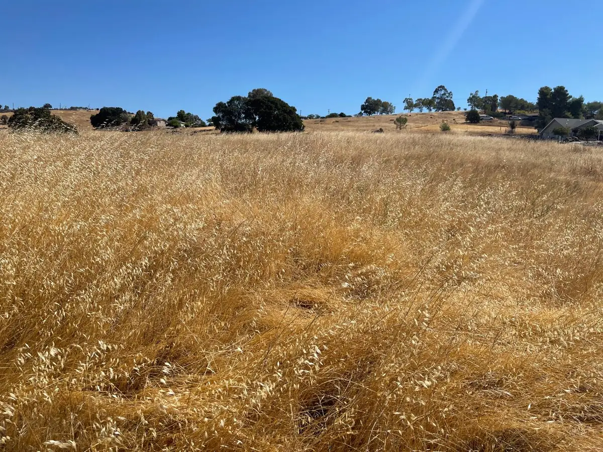 9588 Paraiso Boulevard, La Grange, CA 95329 - Image #1