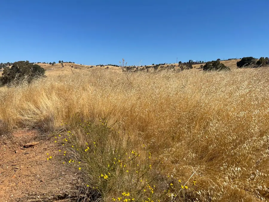 9588 Paraiso Boulevard, La Grange, CA 95329 - Image #3