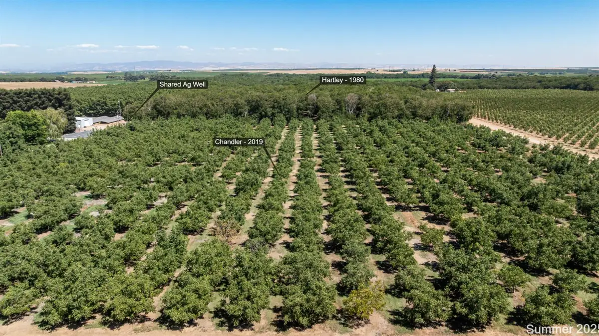 5210 N Fine Road, Linden, CA 95236 - Image #1