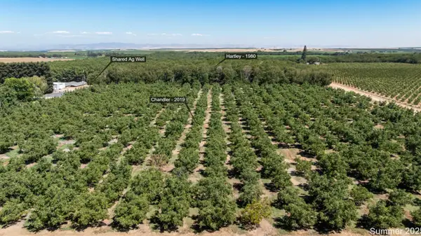 5210 N Fine Road, Linden, CA 95236