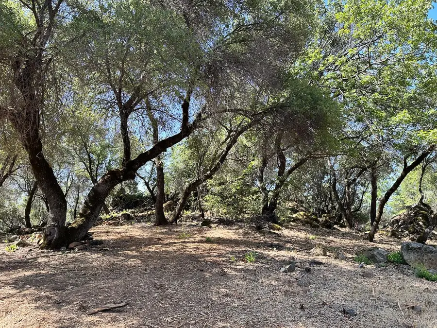 390 Summit View Court, Meadow Vista, CA 95722 - Image #3