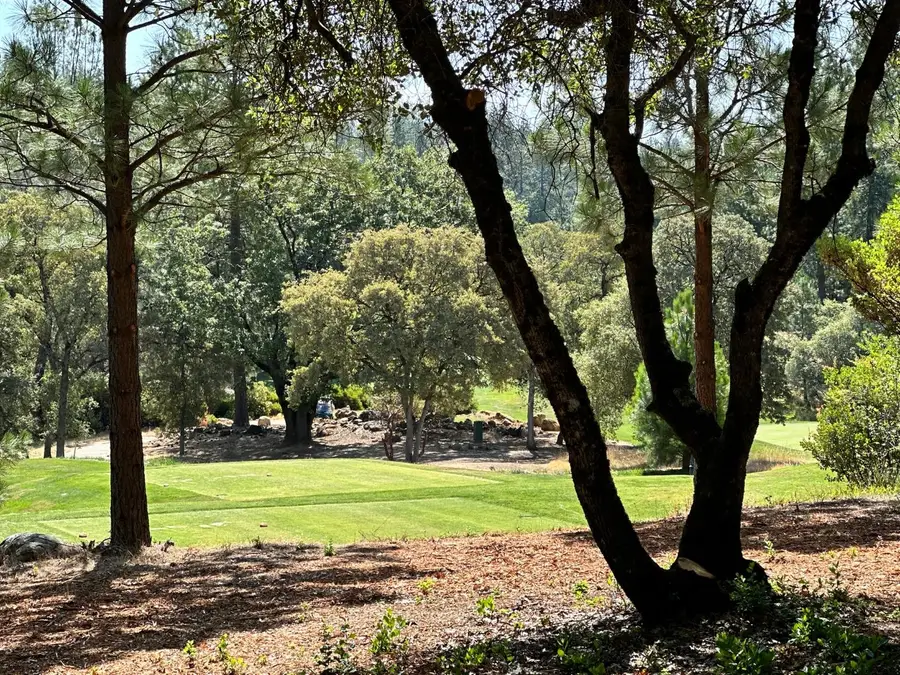 4003 Summit View Court, Meadow Vista, CA 95722 - Image #2