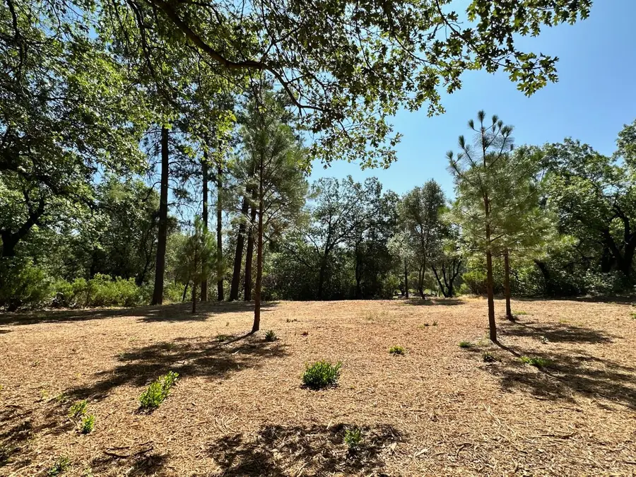 4003 Summit View Court, Meadow Vista, CA 95722 - Image #3