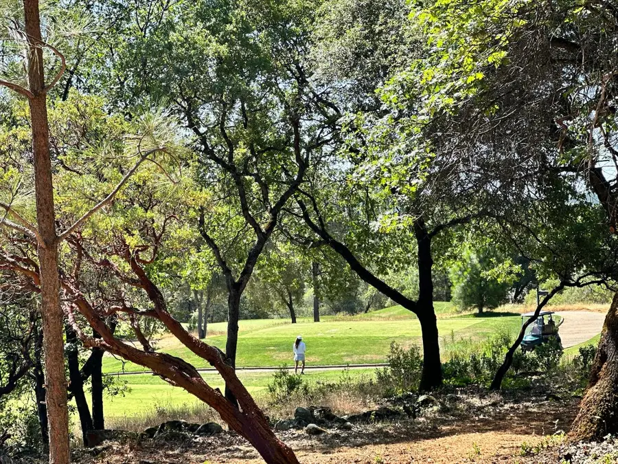 1855 E Summit View Drive, Meadow Vista, CA 95722 - Image #2