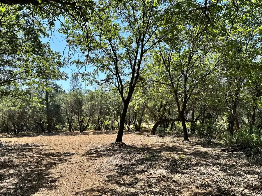 1845 E Summit View Drive, Meadow Vista, CA 95722 - Image #3