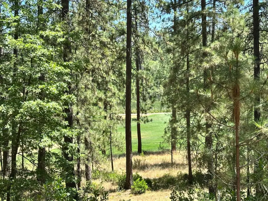 1807 E Summit View Drive, Meadow Vista, CA 95722 - Image #2