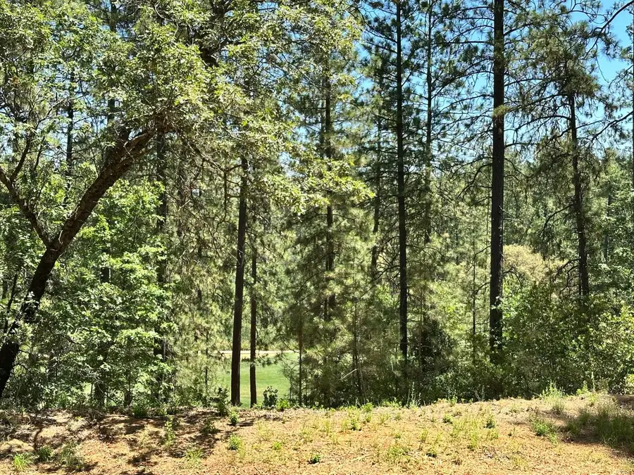 1807 E Summit View Drive, Meadow Vista, CA 95722 - Image #3