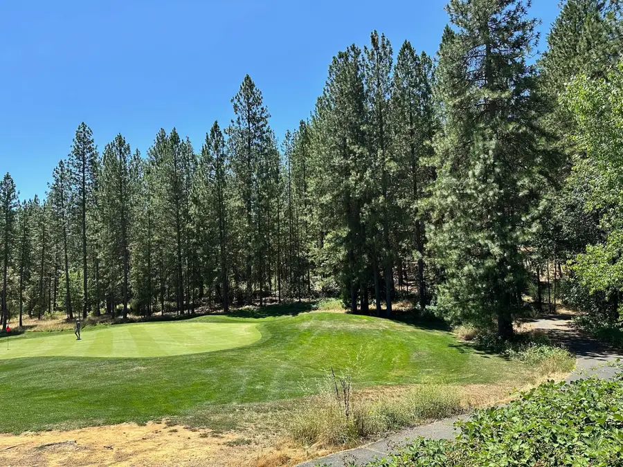 16669 E Summit View Drive, Meadow Vista, CA 95722 - Image #2