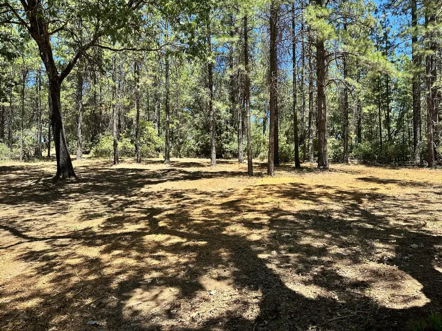 1860 E Summit View Drive, Meadow Vista, CA 95722 - Image #3