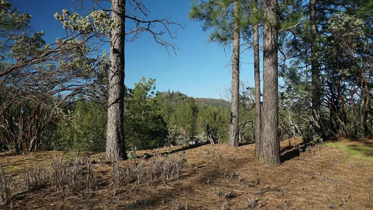 660 Chief Kelly Drive, Nevada City, CA 95959 - Image #1