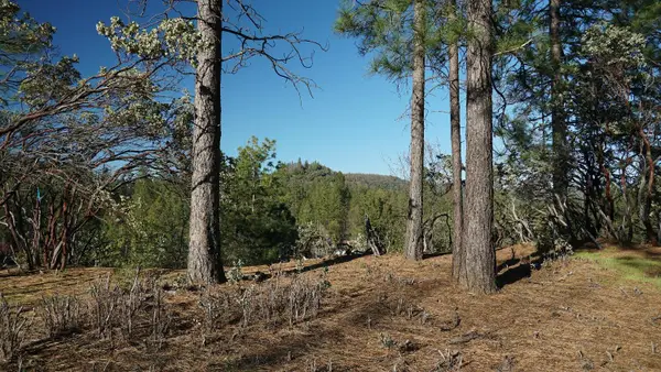 660 Chief Kelly Drive, Nevada City, CA 95959