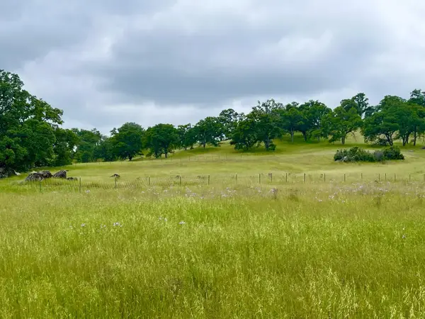 3190 State Highway 132, La Grange, CA 95329