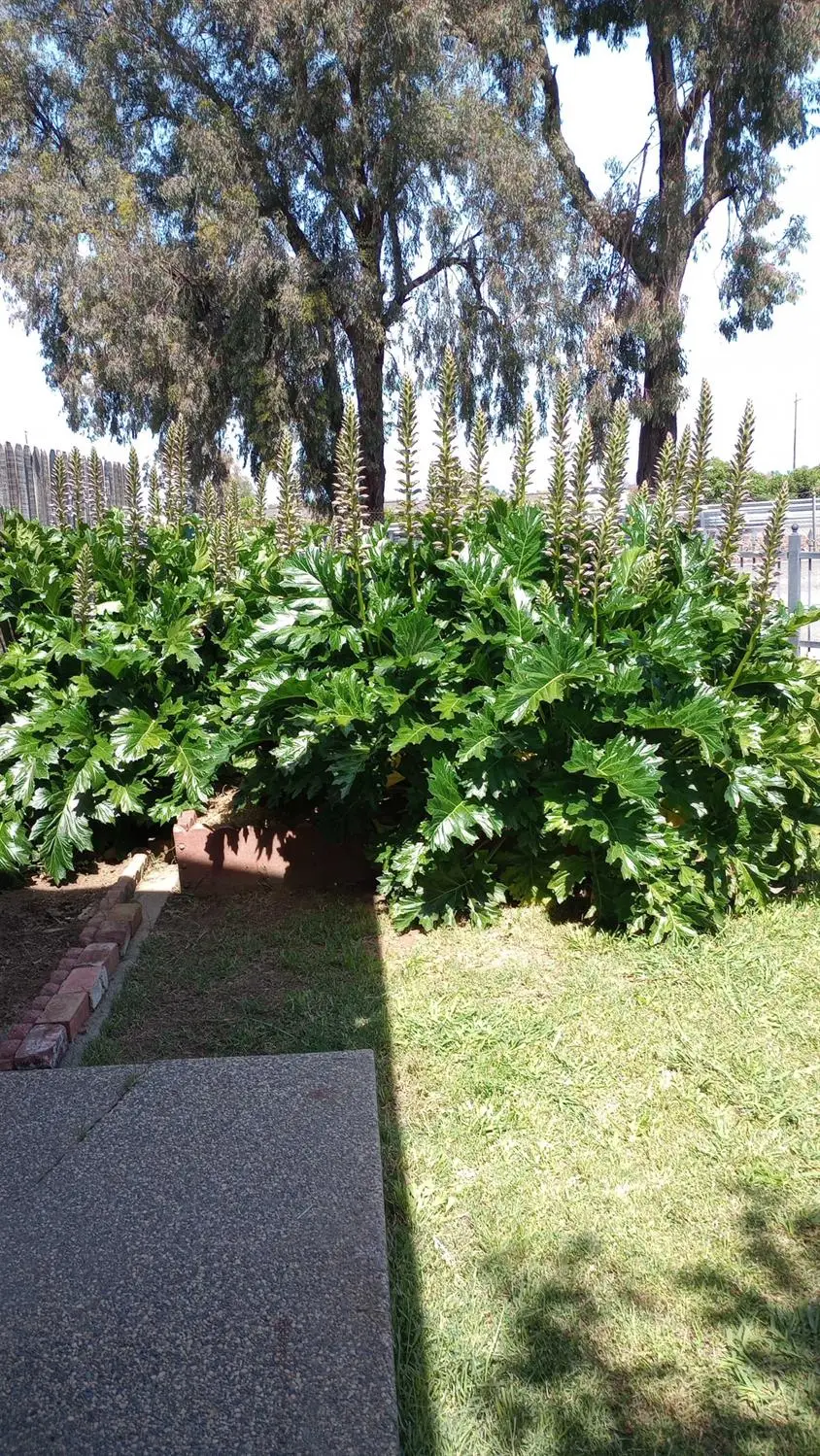 1625 Catalpa Street, Olivehurst, CA 95961 - Image #3