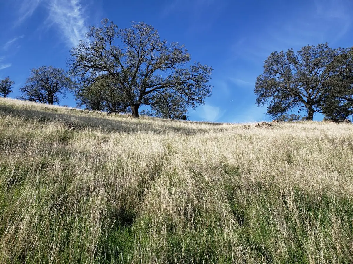 9767 Mirasol Way, La Grange, CA 95329 - Image #1