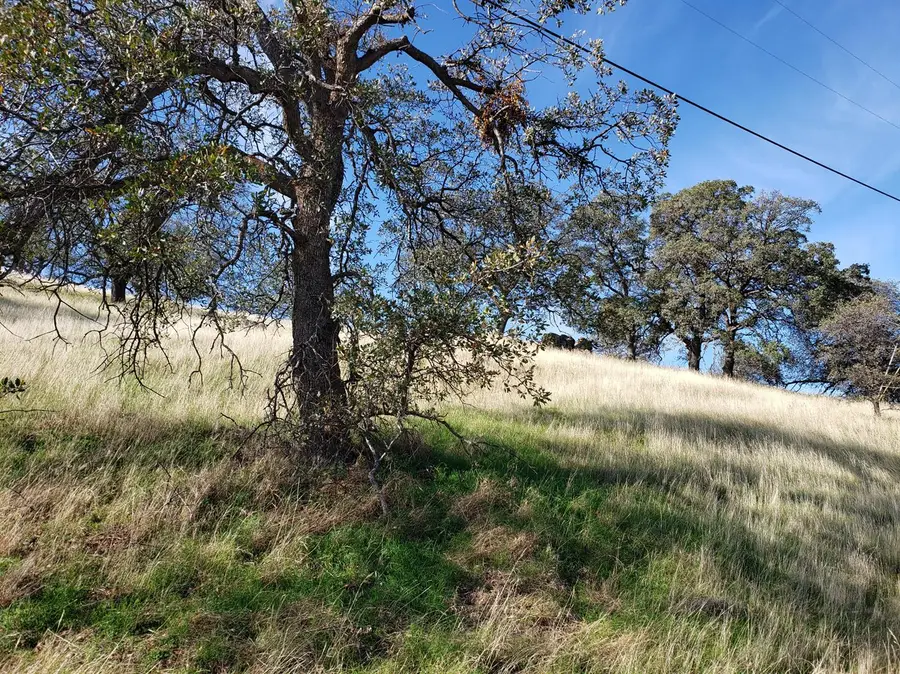 9767 Mirasol Way, La Grange, CA 95329 - Image #2