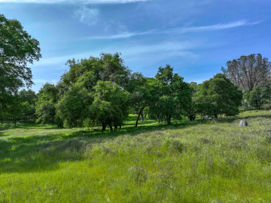 1301 Lomita Court, El Dorado Hills, CA 95762 - Image #3