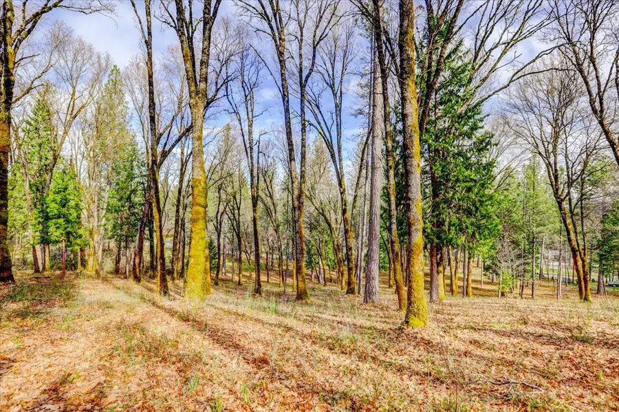 12787 Mystic Mine Road, Nevada City, CA 95959 - Image #3