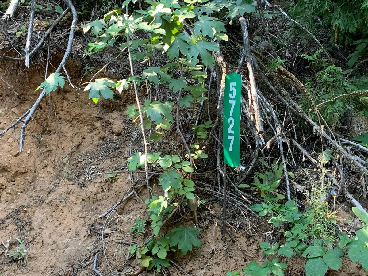 5727 Starkes Grade Road, Pollock Pines, CA 95726 - Image #1