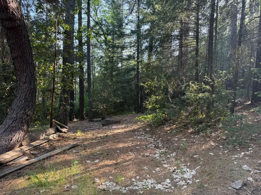 19810 Grizzly Creek Road, Nevada City, CA 95959 - Image #3