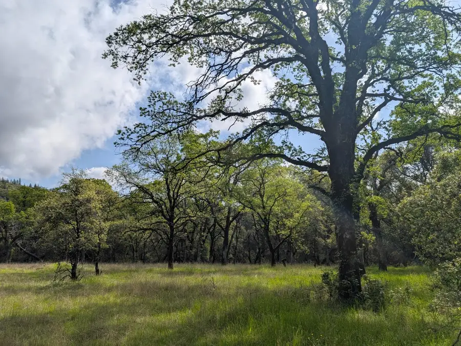 14677 Begonia Way, Oregon House, CA 95962 - Image #2