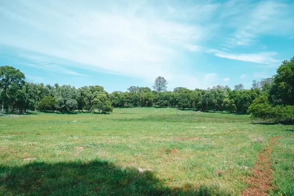 14481 Oak Ridge Road, Penn Valley, CA 95946