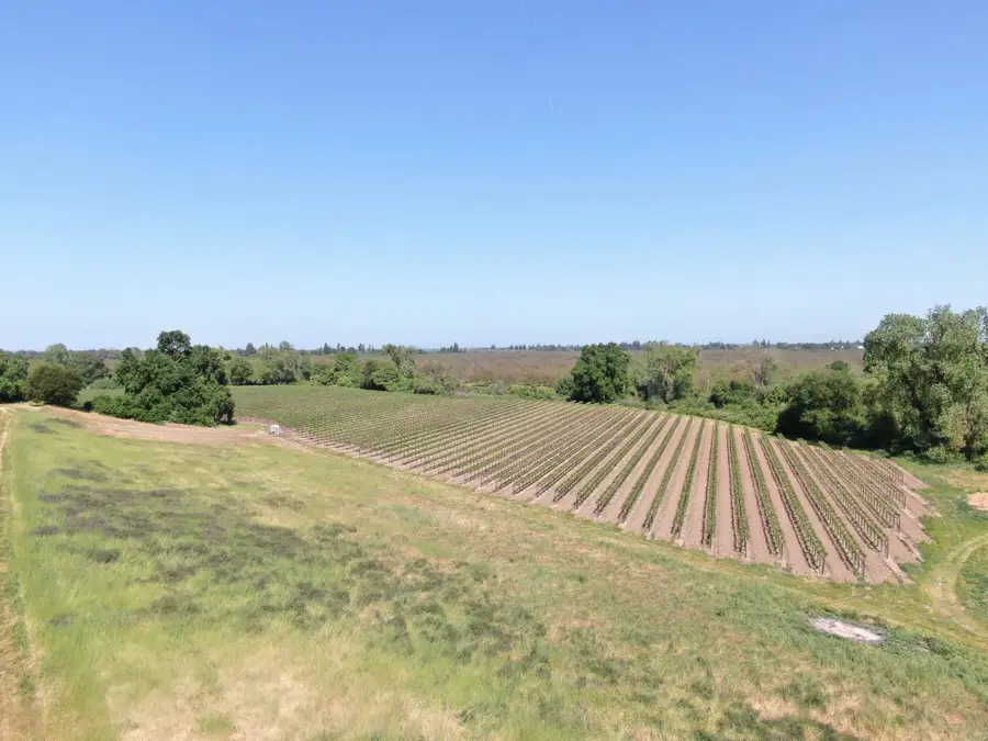 19991 N Tretheway Road, Acampo, CA 95220 - Image #3