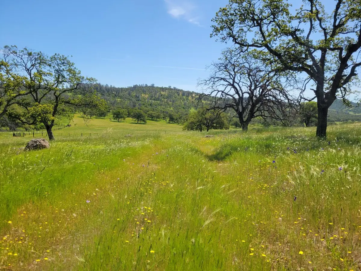 0 Hammonton Bluff Parcel 8, Smartsville, CA 95977 - Image #1