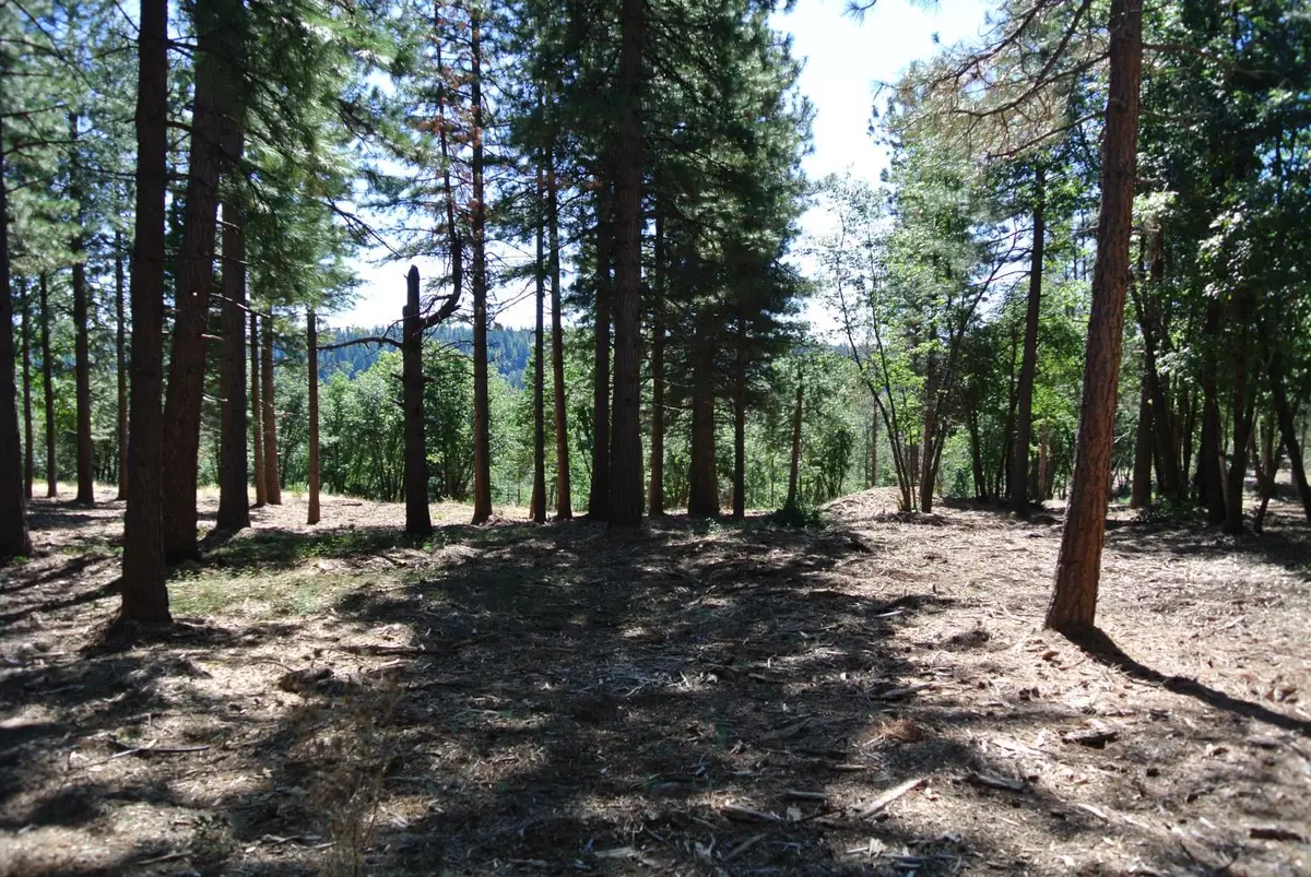 29 Ridge View Road, Foresthill, CA 95631 - Image #1