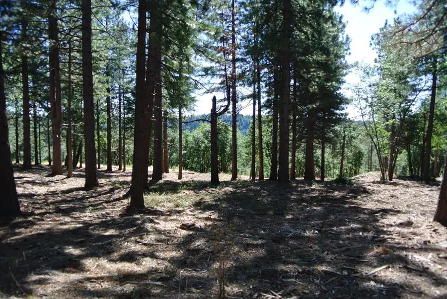 29 Ridge View Road, Foresthill, CA 95631 - Image #2